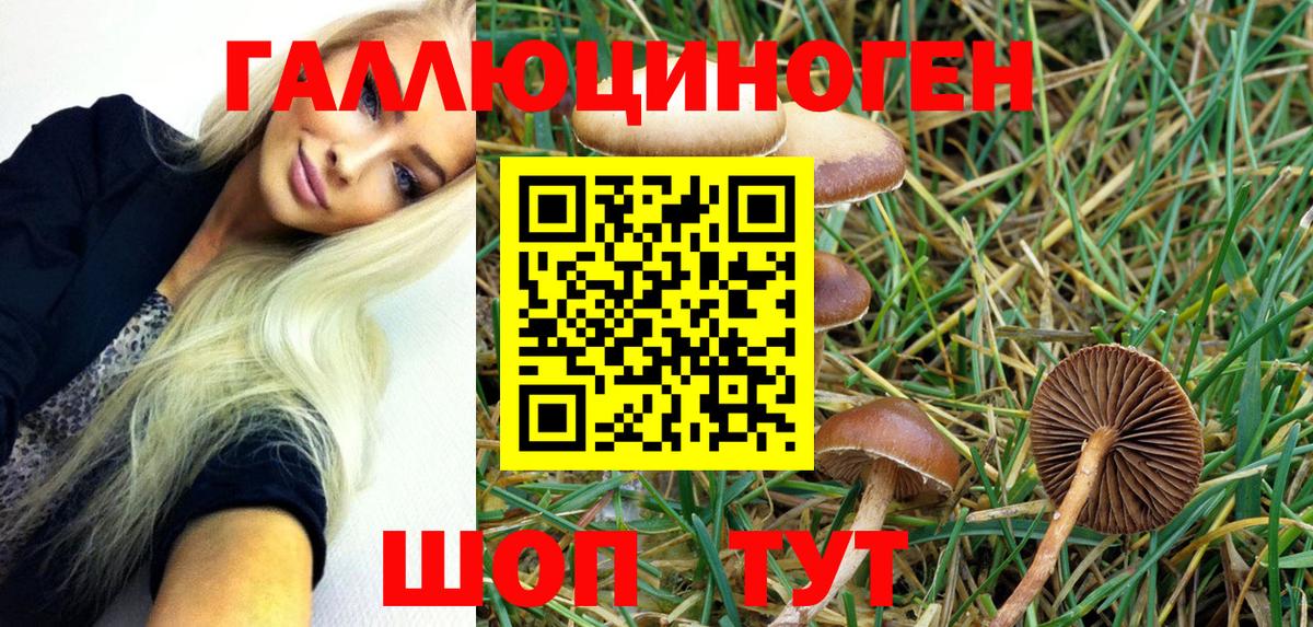 Ярцево  Галлюциногенные грибы GOLDEN TEACHER  Вход с VPN 